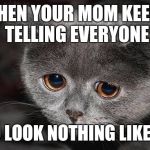 True story | WHEN YOUR MOM KEEPS TELLING EVERYONE; YOU LOOK NOTHING LIKE HER | image tagged in saddisappointedcat | made w/ Imgflip meme maker