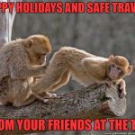 good news you're unarmed bad news i think i felt something. i'd like you to take another flight in 2 weeks so i can check on it  | HAPPY HOLIDAYS AND SAFE TRAVELS; FROM YOUR FRIENDS AT THE TSA | image tagged in monkey | made w/ Imgflip meme maker