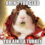 christmas | AREN'T YOU GLAD; YOU AIN'T A TURKEY | image tagged in christmas,scumbag | made w/ Imgflip meme maker