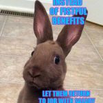 Really? Rabbit Meme Generator - Imgflip