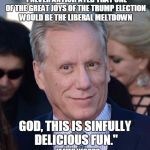 Now THAT's entertainment! | "I NEVER ANTICIPATED THAT ONE OF THE GREAT JOYS OF THE TRUMP ELECTION WOULD BE THE LIBERAL MELTDOWN; GOD, THIS IS SINFULLY DELICIOUS FUN."; -- JAMES WOODS | image tagged in james woods,retarded liberal protesters,words that offend liberals,schadenfreude | made w/ Imgflip meme maker