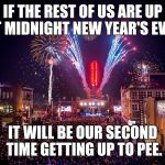 Nashville New Years Eve | IF THE REST OF US ARE UP AT MIDNIGHT NEW YEAR'S EVE... IT WILL BE OUR SECOND TIME GETTING UP TO PEE. | image tagged in nashville new years eve | made w/ Imgflip meme maker