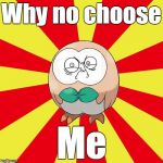 gusta rowlet | Why no choose; Me | image tagged in gusta rowlet,rowlet,no me gusta,funny,pokemon sun and moon,memes | made w/ Imgflip meme maker