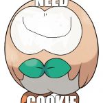 yet another rowlet face edit | NEED; COOKIE | image tagged in rowlet,face edit,pokemon sun and moon,hunger,memes,funny | made w/ Imgflip meme maker