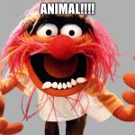 animal muppets | ANIMAL!!!! | image tagged in animal muppets | made w/ Imgflip meme maker