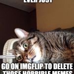Existential Crisis Cat | DO YOU EVER JUST; GO ON IMGFLIP TO DELETE THOSE HORRIBLE MEMES YOU MADE IN THE PAST? | image tagged in existential crisis cat | made w/ Imgflip meme maker