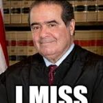 Scalia Agrees | THE ONLY CELEBRITY; I MISS | image tagged in scalia agrees | made w/ Imgflip meme maker