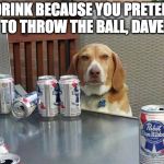 Bad human! Bad! | I DRINK BECAUSE YOU PRETEND TO THROW THE BALL, DAVE. | image tagged in dog beer,pretend,bacon,dog,beer,alcoholic | made w/ Imgflip meme maker