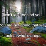 Forest Path | Don't look behind you. You are not going that way. Look at what's ahead. | image tagged in forest path | made w/ Imgflip meme maker