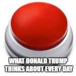 Big Red Button | WHAT DONALD TRUMP THINKS ABOUT EVERY DAY | image tagged in big red button | made w/ Imgflip meme maker