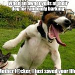 Angry Dogs | When an owner yells at their dog for randomly barking:; "Mother f@cker, I just saved your life!" | image tagged in angry dogs | made w/ Imgflip meme maker