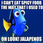 dory forgets | I CAN'T EAT SPICY FOOD THE WAY THAT I USED TO; OH LOOK! JALAPENOS | image tagged in dory forgets | made w/ Imgflip meme maker