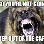 Cry 'Havoc' and let slip the dogs of war! | OH ! SO YOU'RE NOT GOING TO; STEP OUT OF THE CAR? | image tagged in cry 'havoc' and let slip the dogs of war | made w/ Imgflip meme maker