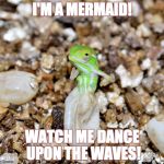 Jeweled Chameleon | I'M A MERMAID! WATCH ME DANCE UPON THE WAVES! | image tagged in jeweled chameleon | made w/ Imgflip meme maker