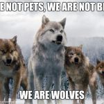 Wolves unite | WE ARE NOT PETS, WE ARE NOT BEASTS. WE ARE WOLVES | image tagged in wolves unite | made w/ Imgflip meme maker