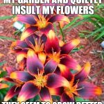 Punny Looking Plants | I LIKE TO STAND IN MY GARDEN AND QUIETLY INSULT MY FLOWERS; THEY SEEM TO GROW BETTER WITH A LITTLE SHADE | image tagged in flowers,puns,shade | made w/ Imgflip meme maker