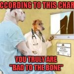 Somehow I always knew...but now it's been confirmed!!! | ACCORDING TO THIS CHART; YOU TRULY ARE "BAD TO THE BONE" | image tagged in dog x-rays,memes,funny,dogs,bad to the bone,dr dog | made w/ Imgflip meme maker