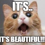 Wow | IT'S.. IT'S BEAUTIFUL!!! | image tagged in wow | made w/ Imgflip meme maker