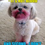 Not sure I believe him... :) | FIRST OF ALL - IT'S NOT BLOOD; AND SECOND - I DON'T KNOW WHERE THE CAT IS | image tagged in shih tzu lipstick,memes,animals,dogs,cats,cute | made w/ Imgflip meme maker