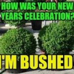 For those still hung over | HOW WAS YOUR NEW YEARS CELEBRATION? I'M BUSHED! | image tagged in new years,celebration,hangover,x x everywhere | made w/ Imgflip meme maker