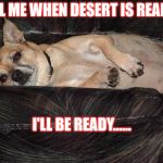 Lazy Dog Dessert | CALL ME WHEN DESERT IS READY.... I'LL BE READY...... | image tagged in lazy dog,dessert,dog nap | made w/ Imgflip meme maker