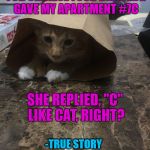 It didn't hit me until after I hung up the phone | CALLED A NEW PLACE FOR CHINESE FOOD DELIVERY. GAVE MY APARTMENT #7C; SHE REPLIED, "C" LIKE CAT, RIGHT? -TRUE STORY | image tagged in chinese food,cats | made w/ Imgflip meme maker