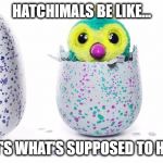 Hatchimals Lesson Learned | HATCHIMALS BE LIKE... SO THAT'S WHAT'S SUPPOSED TO HAPPEN... | image tagged in hatchimals lesson learned | made w/ Imgflip meme maker