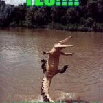 excitedcroc | YES!!!! I SURVIVED 2016 | image tagged in excitedcroc | made w/ Imgflip meme maker