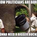 Elephant | HOW POLITICIANS ARE BORN; GONNA NEED A BIGGER BUCKET | image tagged in elephant | made w/ Imgflip meme maker