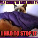 Grumpy Cat overthrows taclivE in a New Year's Eve coup | TACLIVE WAS GOING TO TAKE OVER THE WORLD; I HAD TO STOP IT | image tagged in making plans grumpy,memes | made w/ Imgflip meme maker