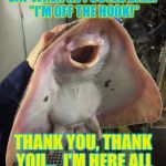 What The Fish | WHAT DID THE FISH SAY WHEN HE POSTED BAIL? "I'M OFF THE HOOK!"; THANK YOU, THANK YOU...
 I'M HERE ALL WEEK, TRY THE VEAL! | image tagged in what the fish,memes | made w/ Imgflip meme maker