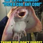 What The Fish | WHAT DID THE MAGICIAN SAY TO THE FARMER?  "PICK A COD, ANY COD!"; THANK YOU, DON'T FORGET TO TIP THE WAITRESS | image tagged in what the fish,memes | made w/ Imgflip meme maker