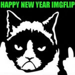 Wishing all of Imgflip a Happy New Year!!! Hope it's a wonderful year for everyone! | HAPPY NEW YEAR IMGFLIP | image tagged in grumpy cat flipping the bird,memes,happy new year,grumpy cat,cats | made w/ Imgflip meme maker