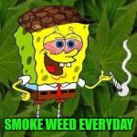weed | SMOKE WEED EVERYDAY | image tagged in weed,scumbag | made w/ Imgflip meme maker