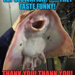 What The Fish | WHY DON'T SHARKS EAT CLOWNFISH?........THEY TASTE FUNNY! THANK YOU! THANK YOU! I'LL BE HERE ALL WEEK.. | image tagged in what the fish | made w/ Imgflip meme maker