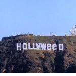 hollyweed