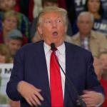 Donald Trump & Disability