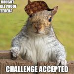 Advice giving squirrel | SO YOU BOUGHT A SQUIRREL PROOF BIRDFEEDER? CHALLENGE ACCEPTED | image tagged in advice giving squirrel,scumbag | made w/ Imgflip meme maker