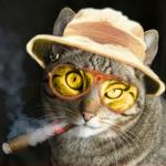 Fear and Loathing in Las Vegas Cat Country
