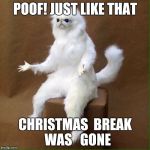 poofcat | POOF! JUST LIKE THAT; CHRISTMAS  BREAK  WAS   GONE | image tagged in poofcat | made w/ Imgflip meme maker