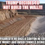 Grand Canyon | TRUMP DECIDES TO NOT BUILD THE WALL!!! HE FIGURED IF HE DIGS A CANYON HE COULD SAVE MONEY AND AVOID TUNNELS BEING DUG. | image tagged in grand canyon | made w/ Imgflip meme maker