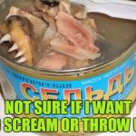 Gross foreign foods | NOT SURE IF I WANT TO SCREAM OR THROW UP! | image tagged in gross foreign foods | made w/ Imgflip meme maker
