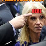 Kellyanne_Conway_Insert_Brain | PLEASE INSERT BRAIN; HERE | image tagged in kellyanne_conway_insert_brain | made w/ Imgflip meme maker