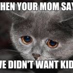 saddisappointedcat | WHEN YOUR MOM SAYS; WE DIDN'T WANT KIDS | image tagged in saddisappointedcat | made w/ Imgflip meme maker