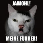 Fuhrer Cat | JAWOHL! MEINE FÜHRER! | image tagged in fuhrer cat | made w/ Imgflip meme maker