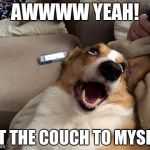 Couch Dog | AWWWW YEAH! GOT THE COUCH TO MYSELF! | image tagged in henry the corgi dog | made w/ Imgflip meme maker