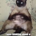 Lazy Siamese Kitty | I was thinking about a New Year's Resolution. Seems like too damn much work. | image tagged in siamese kitty belly,cute cat,big belly,lazy,new years | made w/ Imgflip meme maker