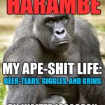 Coming this Fall! | THE OFFICIAL BIOGRAPHY; HARAMBE; MY APE-SHIT LIFE:; BEER-TEARS, GIGGLES, AND GRINS. BY. WALTER ISAACSON; FOREWORD BY. BARACK OBAMA | image tagged in harambe,politics,obama,first world problems,memes,funny | made w/ Imgflip meme maker