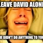 Leave Britney alone | LEAVE DAVID ALONE; HE DIDN'T DO ANYTHING TO YOU | image tagged in leave britney alone | made w/ Imgflip meme maker