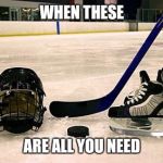 Hockey | WHEN THESE; ARE ALL YOU NEED | image tagged in hockey | made w/ Imgflip meme maker